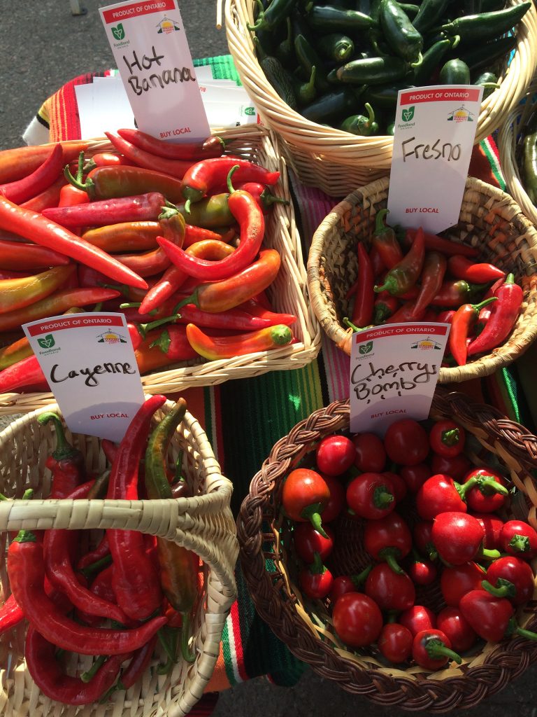 Thunder Bay Country Market