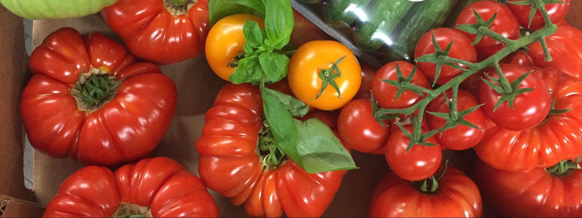 Thunder Bay Country Market
