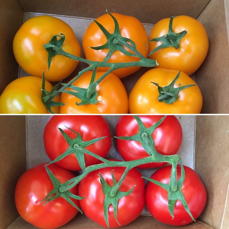 Thunder Bay Country Market